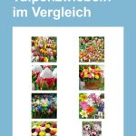 tulpenzwiebeln-pin.jpg