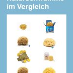 naturschwaemme-pin.jpg